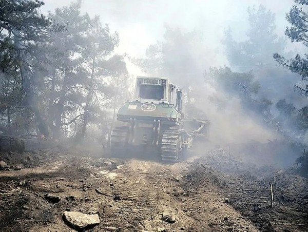 Bolu'daki yangından kurtarılan vatandaşlardan teşekkür! 'Devletimiz imdadımıza yetişti!'